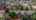 Blurred preview of media: DJI_20260525182315_0084_D-Edit