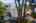 Blurred preview of media: 1-52