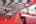 Blurred preview of media: IMG_4780_1_2