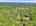 Blurred preview of media: DJI_20260603131257_0269_D_70_D_71_D_easyHDR