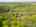 Blurred preview of media: Kerwood-27