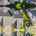 Blurred preview of media: 34 Cutter Lane Amesbury Massachusetts Job 41195 0071
