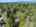 Blurred preview of media: 83Rd