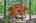 Blurred preview of media: IMG_4679_80_81_easyHDR