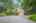 Blurred preview of media: PAX_2114_1