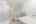 Blurred preview of media: 57