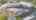 Blurred preview of media: DJI_0822