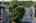 Blurred preview of media: 59