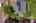 Blurred preview of media: Aerial 03