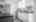 Blurred preview of media: IMG_9950
