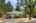 Blurred preview of media: 1-1