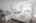 Blurred preview of media: IMG_8884