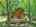 Blurred preview of media: DJI_20260608135545_0488_D_89_D_90_D_easyHDR