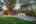 Blurred preview of media: DSC08970