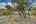 Blurred preview of media: 02 4200-havenrock