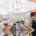 Blurred preview of media: 2-926-7635