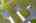 Blurred preview of media: iPixx_10_19