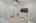 Blurred preview of media: DSC01409