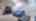 Blurred preview of media: IMG_0478