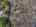 Blurred preview of media: 13-pautuck-road-highland-lakes-nj-usa-drone-005