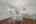 Blurred preview of media: DSC03326