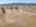 Blurred preview of media: Montecito_Way_71