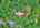 Blurred preview of media: DJI_20260616115318_0854_D_5_D_6_D_easyHDR