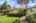 Blurred preview of media: 1-9