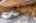 Blurred preview of media: 1-29