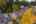 Blurred preview of media: 1-61