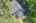 Blurred preview of media: DJI_0307