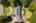 Blurred preview of media: 1-70