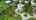 Blurred preview of media: Unknown media