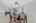 Blurred preview of media: 7238StillBrookSt-13