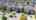 Blurred preview of media: 65