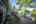 Blurred preview of media: TEL00546-HDR