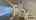 Blurred preview of media: Unknown media