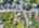 Blurred preview of media: DJI_20250908130534_0176_D_7_D_8_D_easyHDR