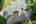 Blurred preview of media: DJI_0779 copy 2