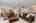 Blurred preview of media: 1-15