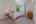Blurred preview of media: 345-11
