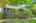 Blurred preview of media: 260190-22a