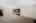 Blurred preview of media: DSC_7177