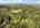 Blurred preview of media: 66-10565_SW_Cormorant_Dr