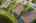 Blurred preview of media: iPixx_10_16
