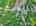 Blurred preview of media: DJI_20260613114342_0731_D_2_0732_D_3_0733_D_easyHDR