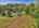 Blurred preview of media: DJI_20250802145648_0712_D_3_D_4_D_easyHDR