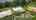 Blurred preview of media: Unknown media