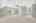 Blurred preview of media: 3-826-8573