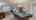 Blurred preview of media: 19-Ann-Arbour-Ct-Whitby-07162026_160910
